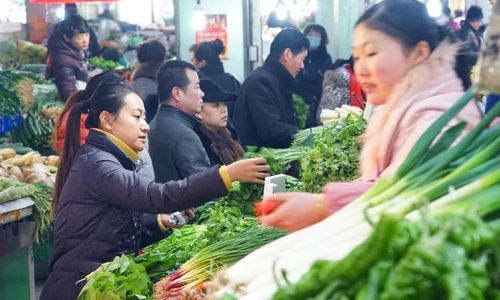 西宁市将在春节前5天(2月10日—14日)在270个零售经营网点对6种蔬菜