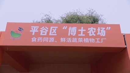 2023年中国农民丰收节金秋消费季在平谷启动
